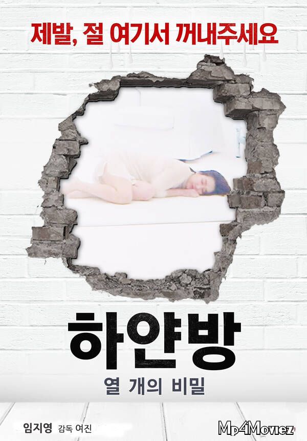 [18+] The White Room Ten Secrets (2021) Korean Movie HDRip download full movie